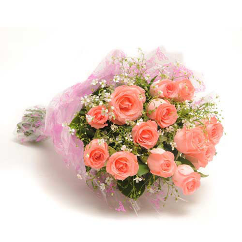12 Baby Pink Roses Bunch