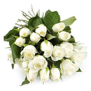 15 White Roses Bunch