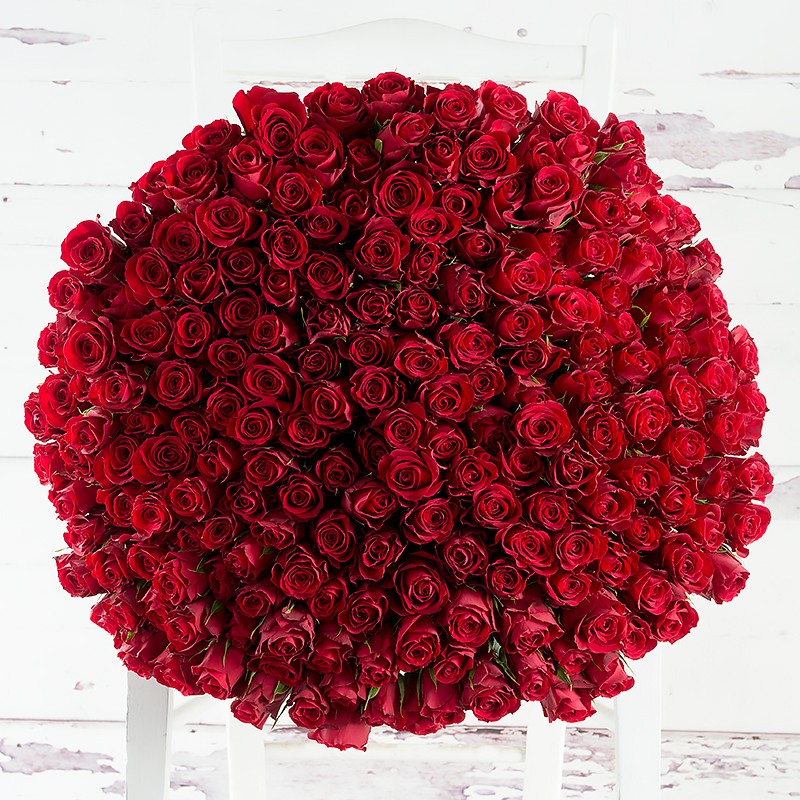 200 Red Roses Bunch