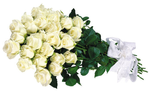 20 White Roses Bunch