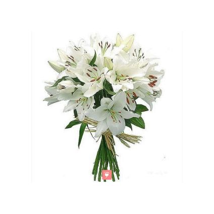 10 White Oriental Lily Bunch