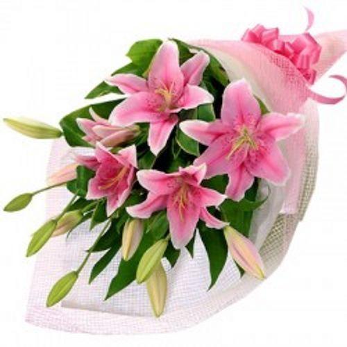 5 Pink Oriental Lily Bunch