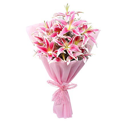 10 Pink Oriental Lily Bunch