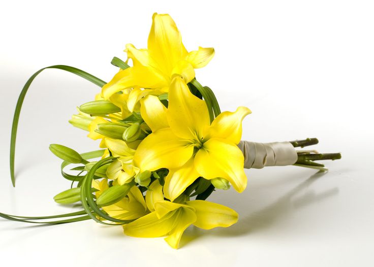 5 Yellow Oriental Lily Bunch